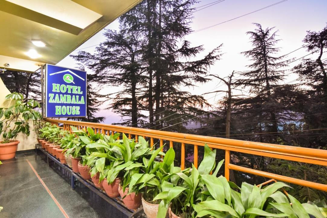 Hotel Zambala House McLeod Ganj Eksteriør billede