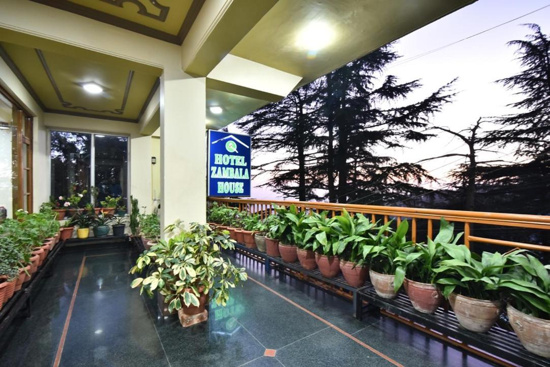 Hotel Zambala House McLeod Ganj Eksteriør billede